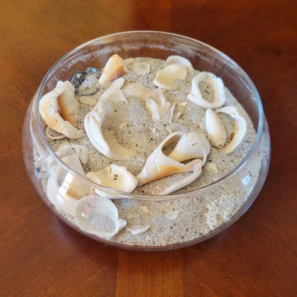 "Down By The Seashore" Natural Beauty White Sands & Shells Clear Glass Bowl